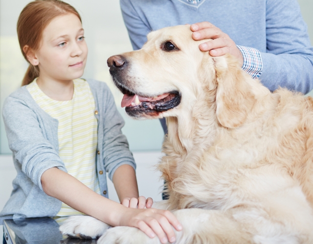 A man and a girl gently petting a friendly dog